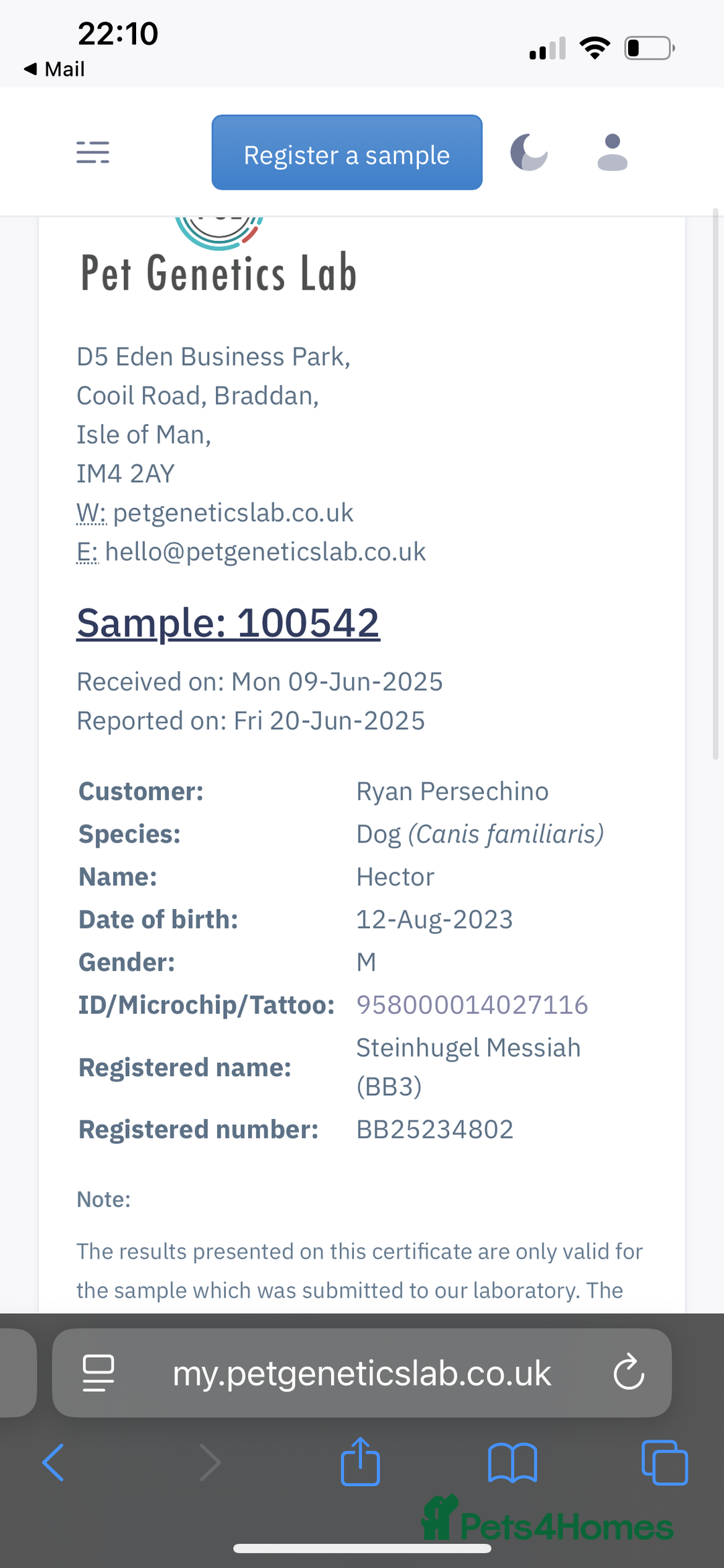 Rottweiler dogs for stud: Hector 60kg plus Rottweiler KC Reg  in Stanford-le-Hope - Image 12
