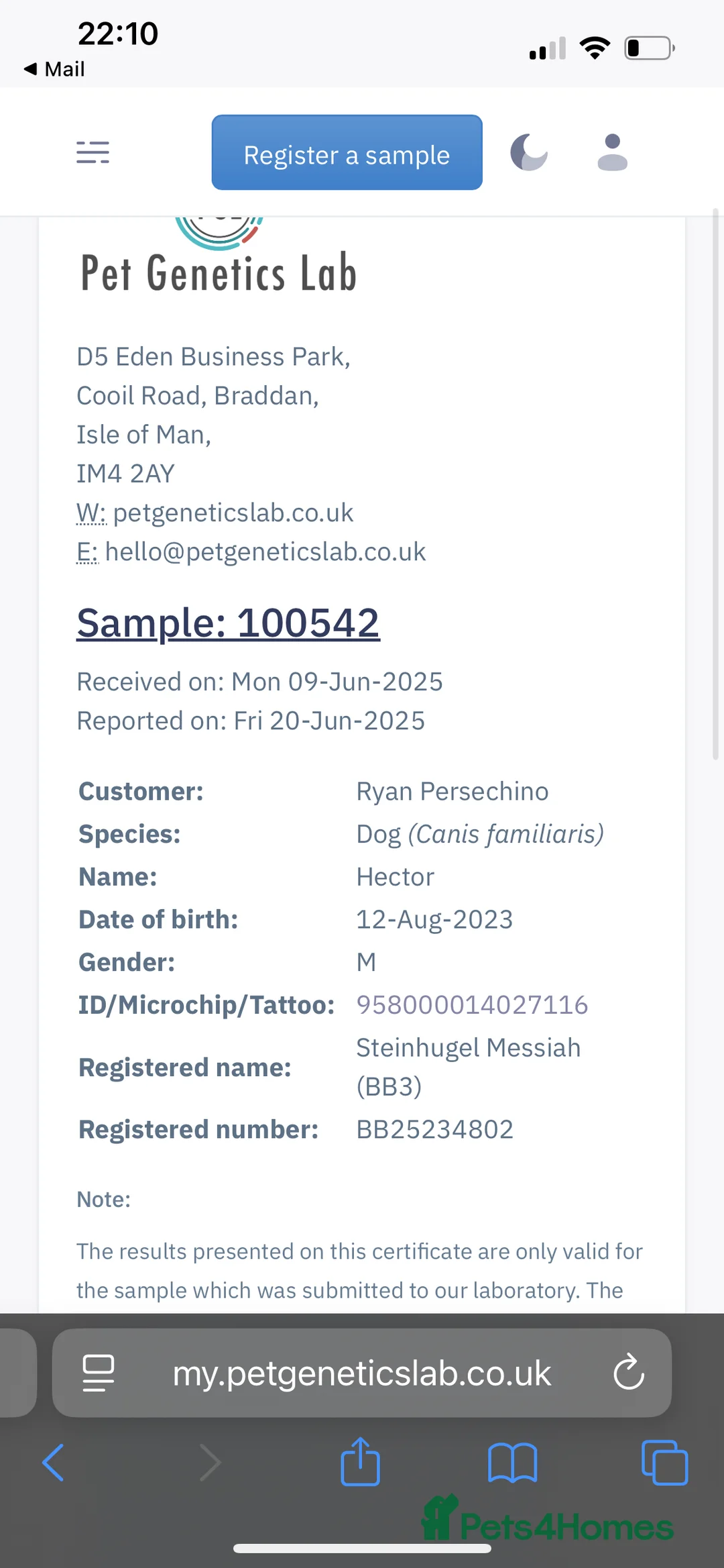 Rottweiler dogs for stud: Hector 60kg plus Rottweiler KC Reg  in Stanford-le-Hope - Advert 18