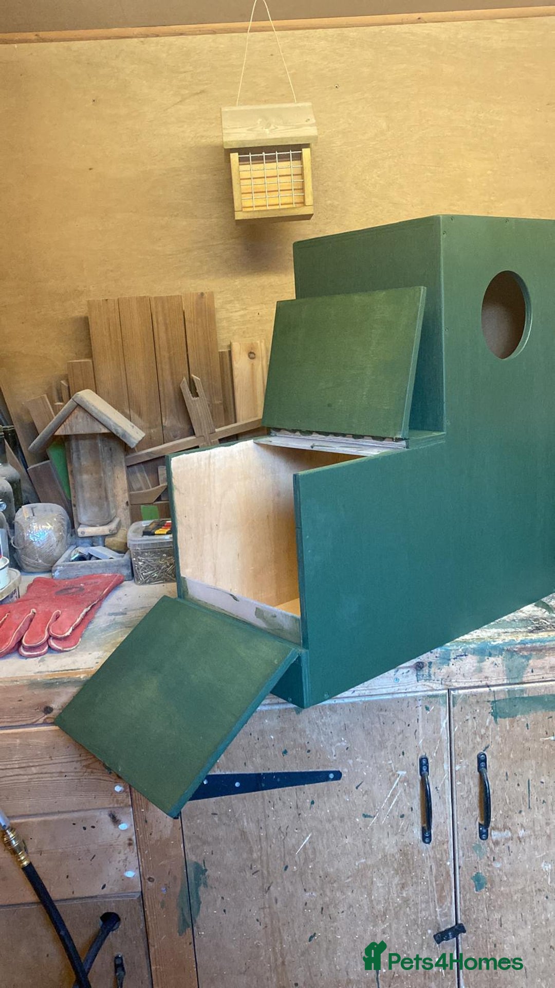 Parrots birds for sale: Breeding cages for parrots - Advert 9