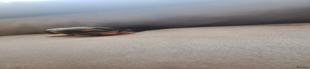 Yorkshire Terrier Puppy 2