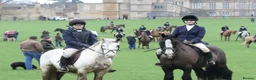 Irish Cob horses for sale: Big Betty in Huntingdon - Advert 11