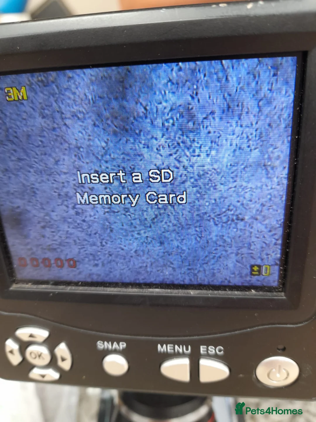 Cavalier King Charles Spaniel dogs for stud: STUNNING HEALTH TESTED KC CAVALIER KING CHARLES in Southampton - Advert 7