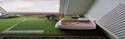 Mixed Breed cats for sale: Tabby Cats 4 Sale in Barking - Advert 21