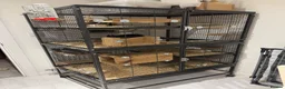 Chinchilla rodents for sale: Bonded Male Chinchillas (3 Yrs) + Everything in York - Advert 11