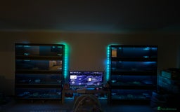 Python Snake reptiles for sale: 6 ball pythons & 8 vivariums for sale - Image 1