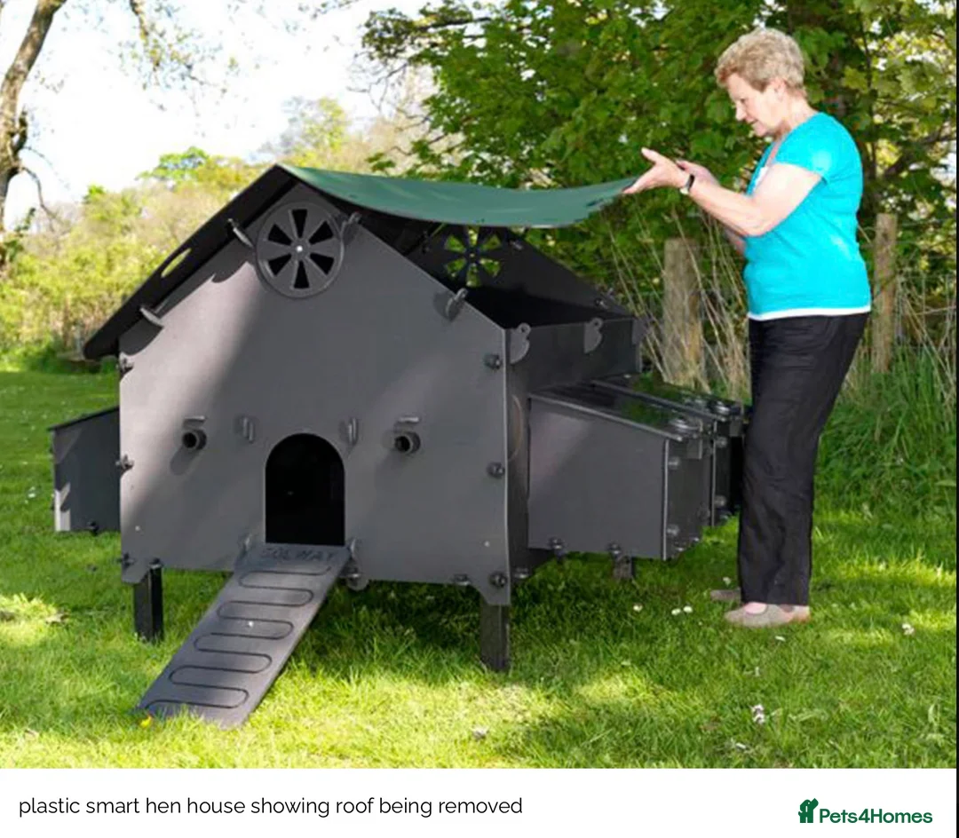 Mixed Breed poultry for sale: Smart Hen House - Recycled - 10/12 Hens - Advert 3