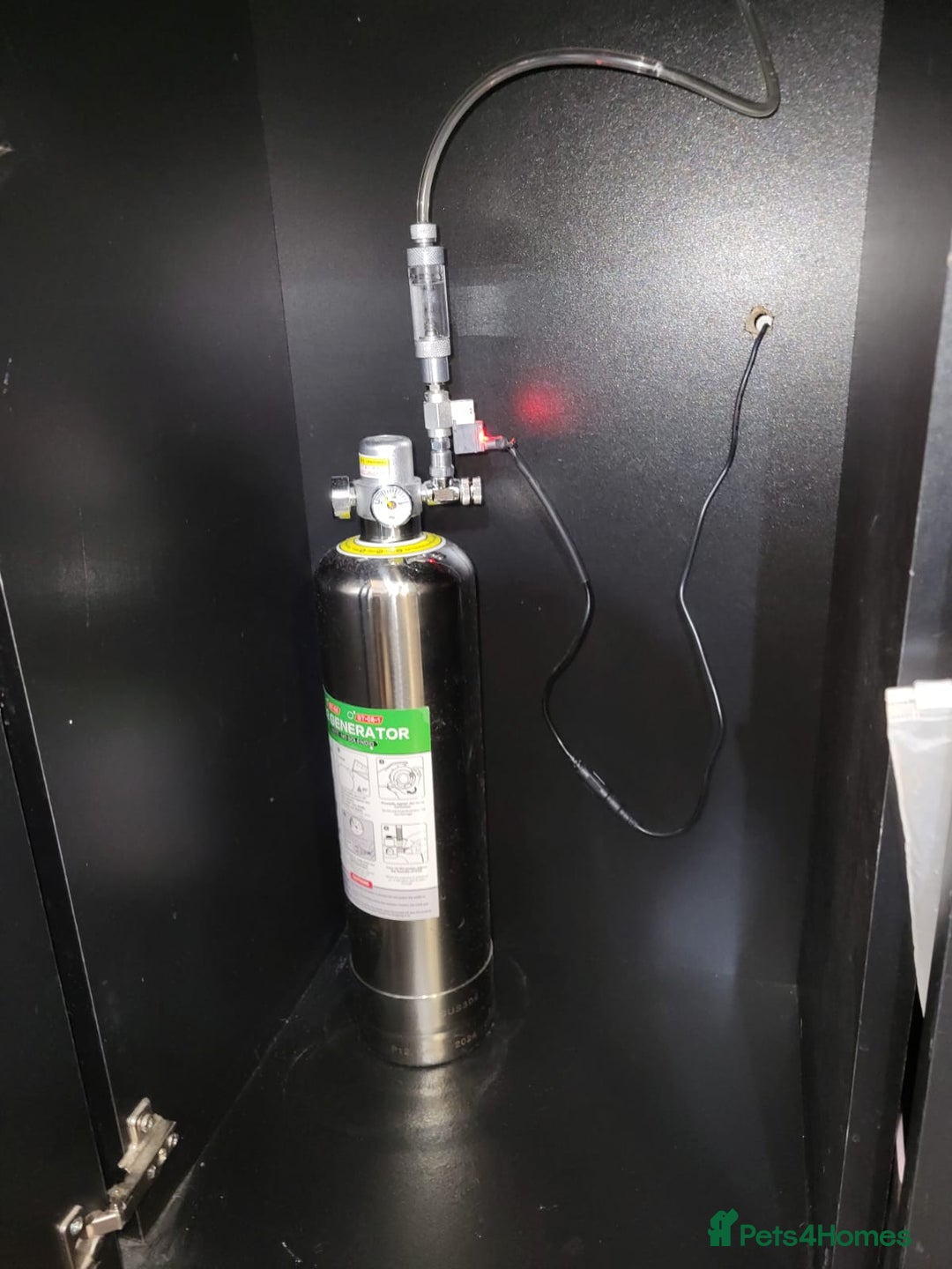 Other/Mixed Breed fish for sale: 182 litre aqua one full set up  - Advert 6