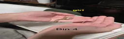 Snake reptiles for sale: Western hognose hatchlings  in Canterbury - Advert 7