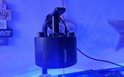 Other/Mixed Breed fish for sale: Various marine fish & Complete set up - Image 4