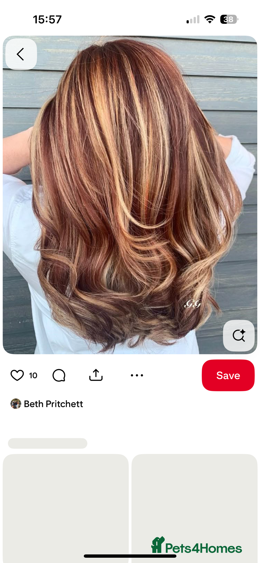 Border Collie dogs for sale: 9 month old female border collie  - Image 6