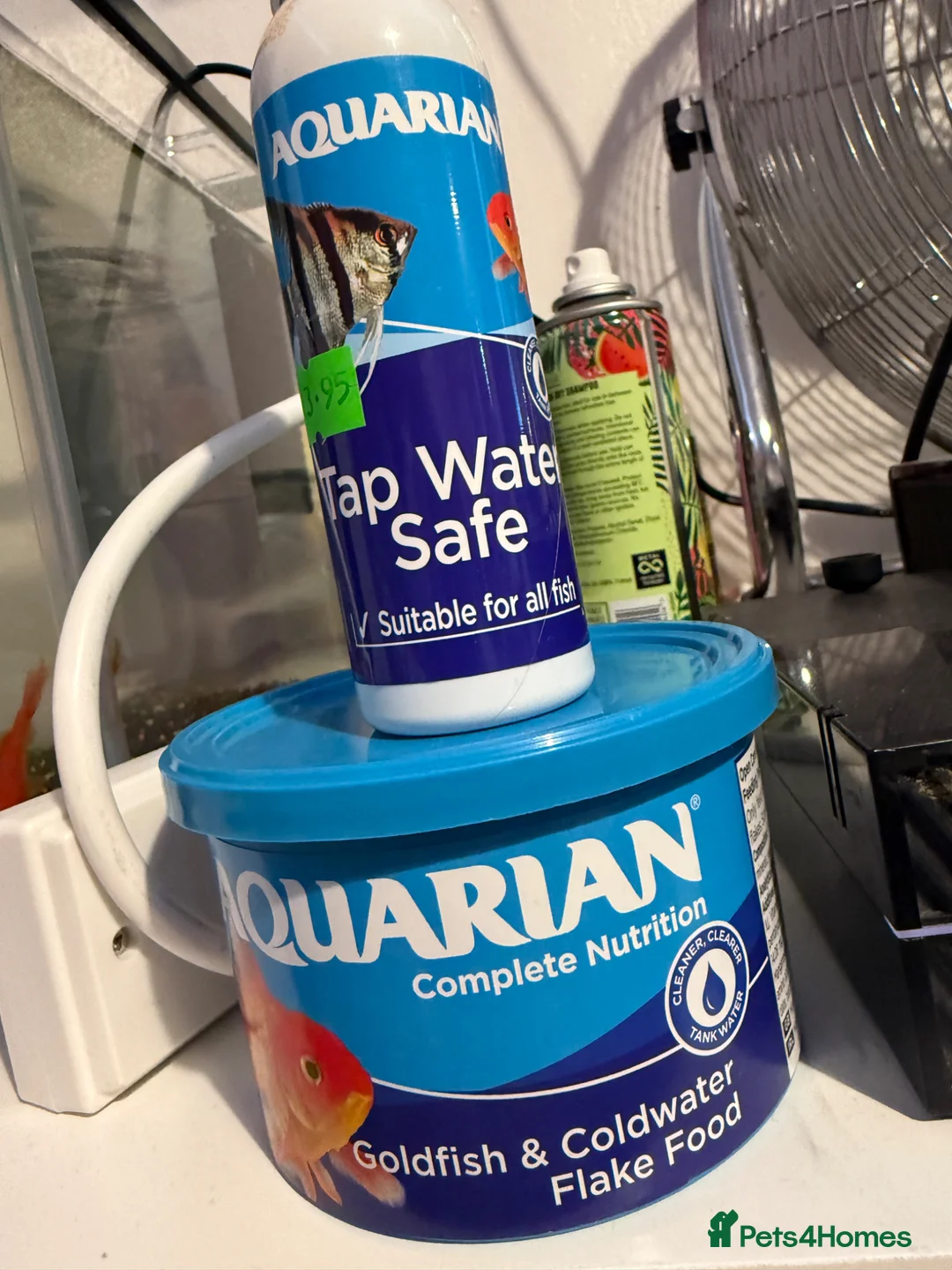 Goldfish fish for sale: Fish and tank  - Advert 4