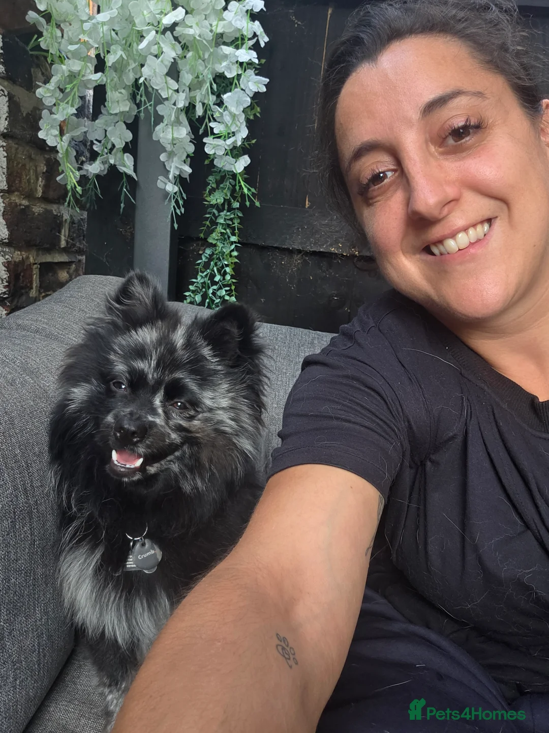 Gallery Image {{count}}