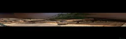 Snake reptiles for sale: Ball python  - Advert 1