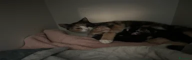 Lola (mother)