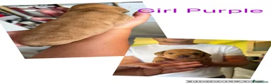 Girl Purple 