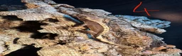 Gecko reptiles for sale: Baby crested geckos in Accrington - Advert 4