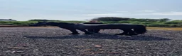 Dales horses for sale: Black section A reg gelding in Lancaster - Advert 2