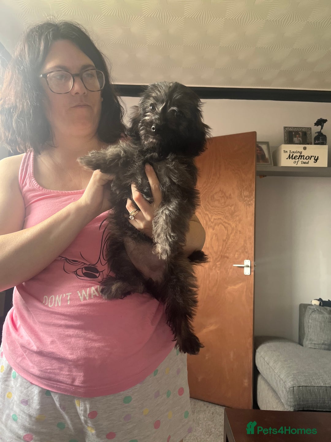 Mixed Breed dogs for sale: Two puppies 9 weeks old  - Image 4