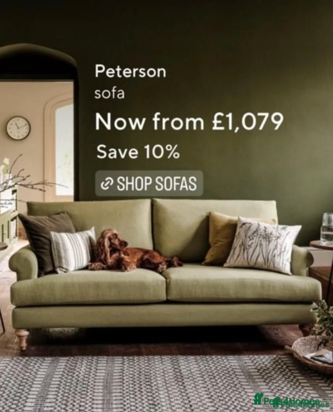 Cocker Spaniel dogs for stud: *Mungo* GOLDEN Show Cocker PEDIGREE BEST TESTED in Bradford-on-Avon - Advert 16