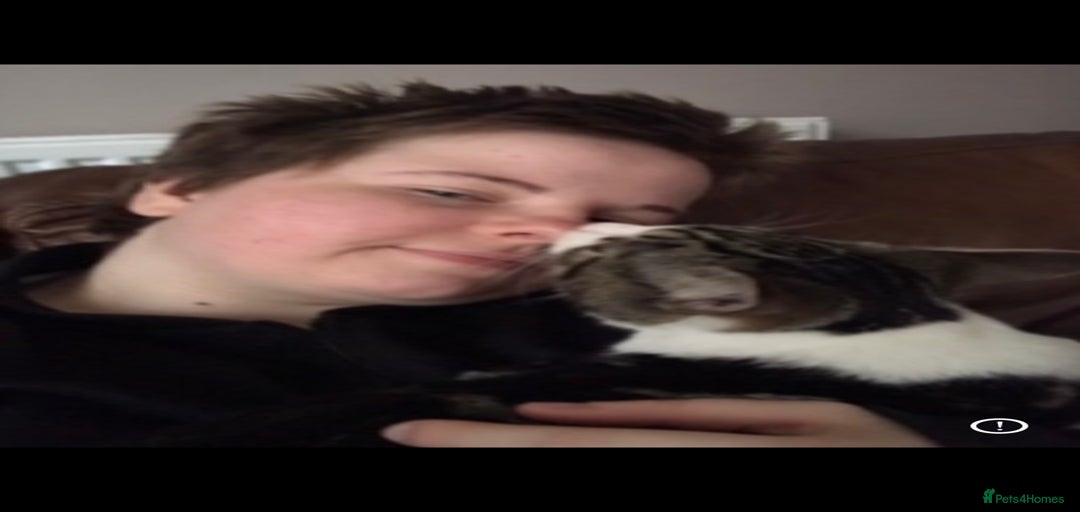 Gallery Image {{count}}