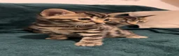 Bengal cats for sale: 3/4 bengal, 1/4 rag doll  in Birmingham - Advert 2