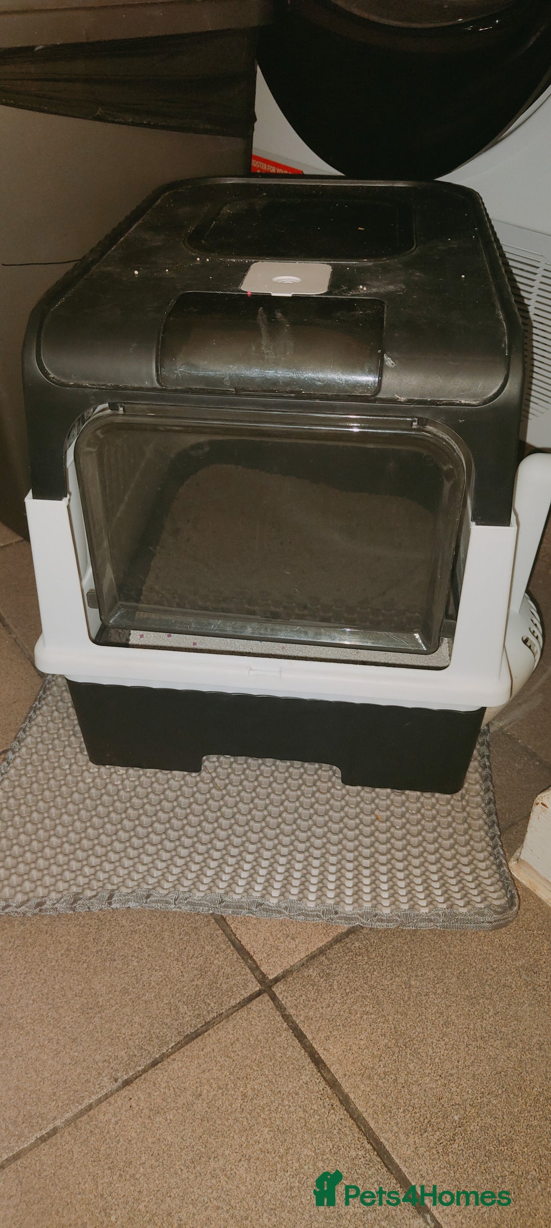 Ragdoll cats for sale: Ragdoll mix bred - Advert 5