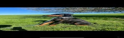 Dobermann dogs for stud: KC Doberman STUD - Advert 3