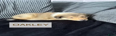 Oakley