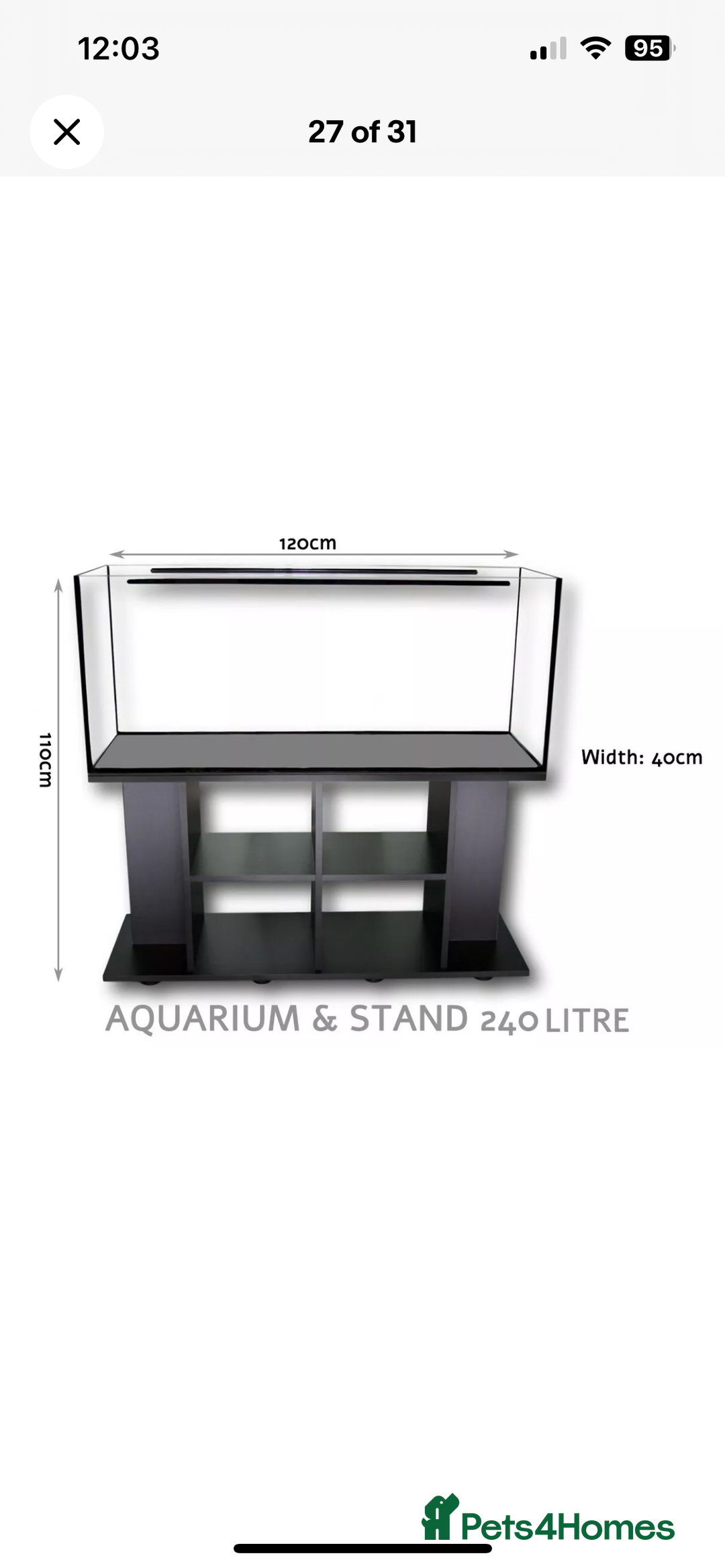 Turtle reptiles for sale: Musk turtle and full set up - Image 8