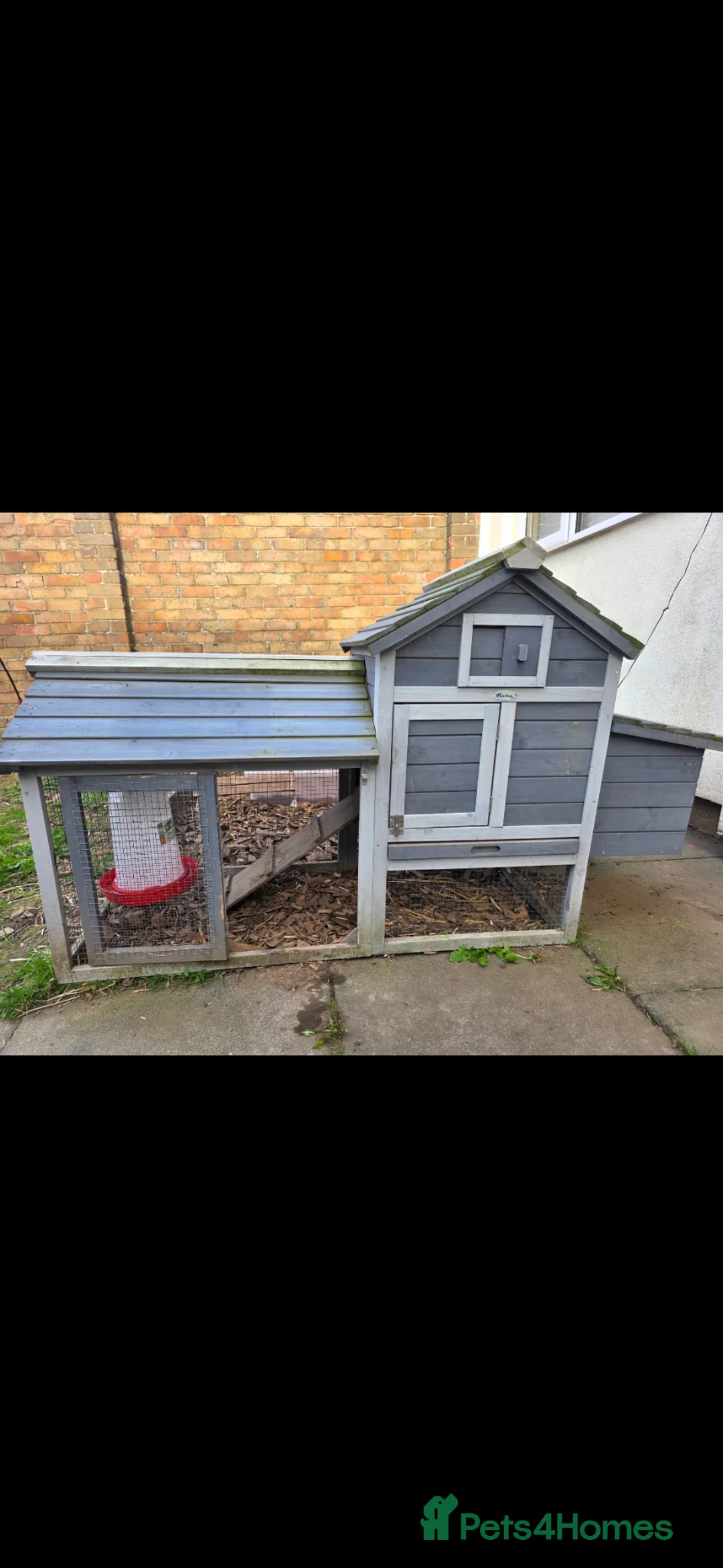 Chickens poultry for sale: 2 chickens and cage with run in Darlington - Advert 2