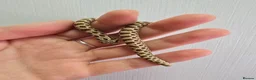 Snake reptiles for sale: Baby Western hognoses CB 26 From £80 - Advert 8