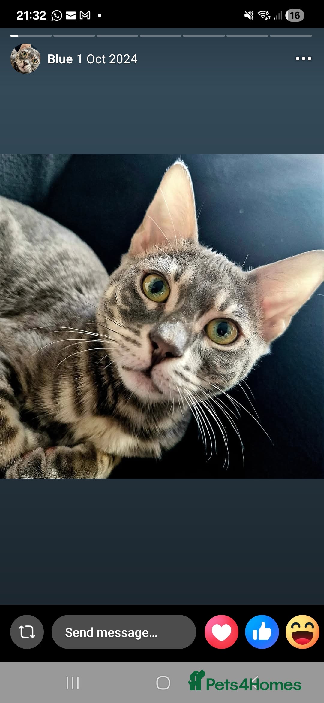 Mixie Vin