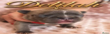 Delihla