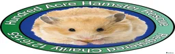 Hamster rodents for sale: Hamsters for adoption  - Advert 1