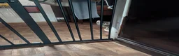Mixed Breed cats for sale: Beautiful kittens ready for new homes NOW! in King's Lynn - Advert 21