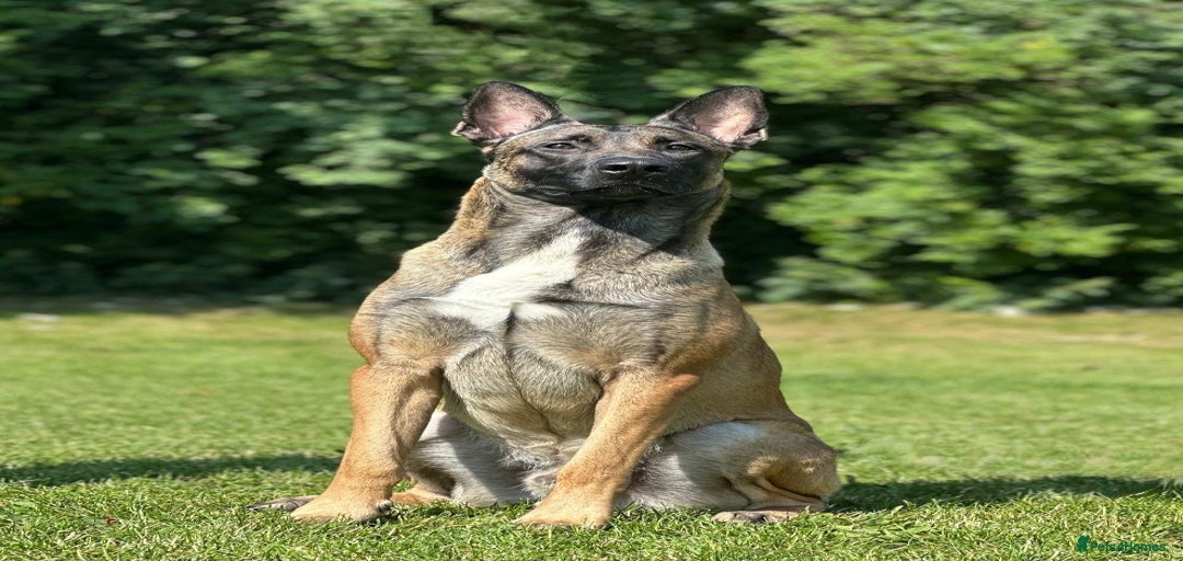 Gallery Image {{count}}