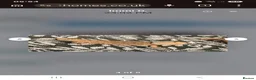 Bearded Dragon reptiles for sale: Breaded Dragon in Swindon - Advert 4