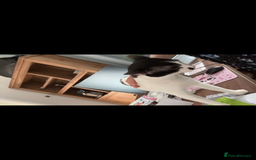 Mixed Breed cats for adoption: OSCAR - THE KISSER !!CANNOT HELP HIMSELF 2B CUDDLY - Image 5