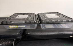 Leopard Gecko reptiles for sale: 4 leopard geckos  - Advert 5