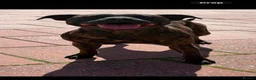 Staffordshire Bull Terrier dogs for sale: 10 Gorgeous Brindle Pups  - Advert 2