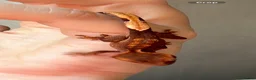 Gecko reptiles for sale: Crested gecko babies  - Advert 17