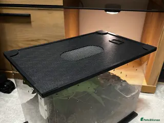 Tarantulas invertebrates Tarantula collection for sale - Advert 3