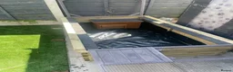 Tortoise reptiles for sale: Horsfield Tortoise - Advert 8