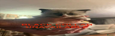 Black collar - Reserved