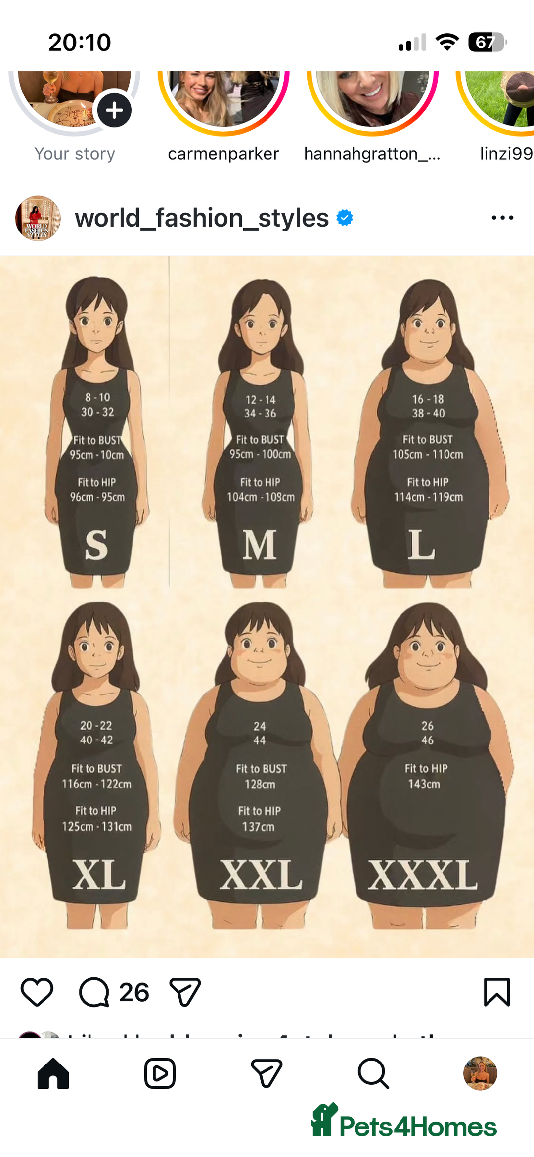 Maltese dogs for sale: Maltese puppies  - Advert 11