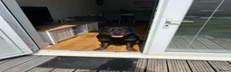 Rottweiler dogs for sale: 2 year old male full German  - Advert 7