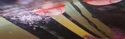 Bettas fish for sale: Female bata fish and cherry barbs  - Advert 6