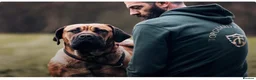 Boerboel dogs for sale: Aggie very very sad sale  in Wingate - Advert 2