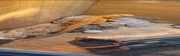 Bearded Dragon reptiles for sale: Friendly bearded dragon in Clevedon - Advert 7