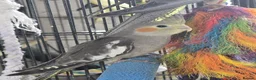 Cockatiels birds for sale: Cockatiel - Advert 2